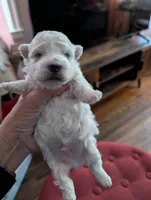 processed/8259e695-3e29-4a01-8946-8471e3f421e1/listing/1465f5d9-8a08-496f-9a11-ecd4705fcaef/3ca2519f-f09c-49ba-a39a-1798a5bdf7dc