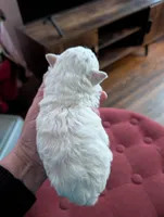 processed/8259e695-3e29-4a01-8946-8471e3f421e1/listing/1465f5d9-8a08-496f-9a11-ecd4705fcaef/d0f3e4d1-31bb-4c34-a6ad-fd30dacdd20c