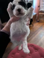 processed/8259e695-3e29-4a01-8946-8471e3f421e1/listing/2740a095-6e56-4e7c-a2df-5dd15be32e10/74754a7a-e012-45d2-b622-7017ea603cd8