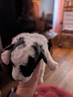 processed/8259e695-3e29-4a01-8946-8471e3f421e1/listing/2740a095-6e56-4e7c-a2df-5dd15be32e10/93a1754e-34cf-4218-9974-53b059b21571