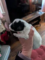 processed/8259e695-3e29-4a01-8946-8471e3f421e1/listing/2740a095-6e56-4e7c-a2df-5dd15be32e10/ba0fd151-15ce-4660-934c-b6b903e01498