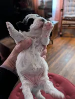 processed/8259e695-3e29-4a01-8946-8471e3f421e1/listing/2740a095-6e56-4e7c-a2df-5dd15be32e10/cc09233c-88e7-4d8b-a99b-4269fa3dd866