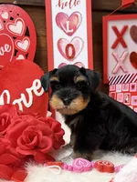 processed/826187f2-04d2-445c-910d-ad3086910236/listing/c90e5cb3-0937-4ba6-a7ba-28cdb650be3b/c7ca14b1-4242-4ddc-aca6-0cd39d8f3dd9