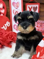 processed/826187f2-04d2-445c-910d-ad3086910236/listing/c90e5cb3-0937-4ba6-a7ba-28cdb650be3b/d09a1769-0f60-41ac-b8f0-b0d358d6aadf