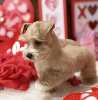 processed/826187f2-04d2-445c-910d-ad3086910236/listing/d07ad61c-d048-4eed-9204-272a9ea740c2/e457b90d-5ed3-4521-a4ec-65981671c13a