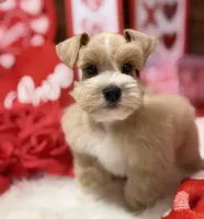 processed/826187f2-04d2-445c-910d-ad3086910236/listing/d07ad61c-d048-4eed-9204-272a9ea740c2/f7488c95-b195-4b68-8cbc-d0733d68ba8d