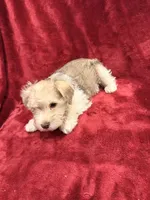 processed/8265dbe1-6664-43d9-a307-5a0339dd4d95/listing/3641b7bb-e858-426b-aeb4-44aba509c0a6/4d08b242-d1ce-4592-a1cd-0f5482738107