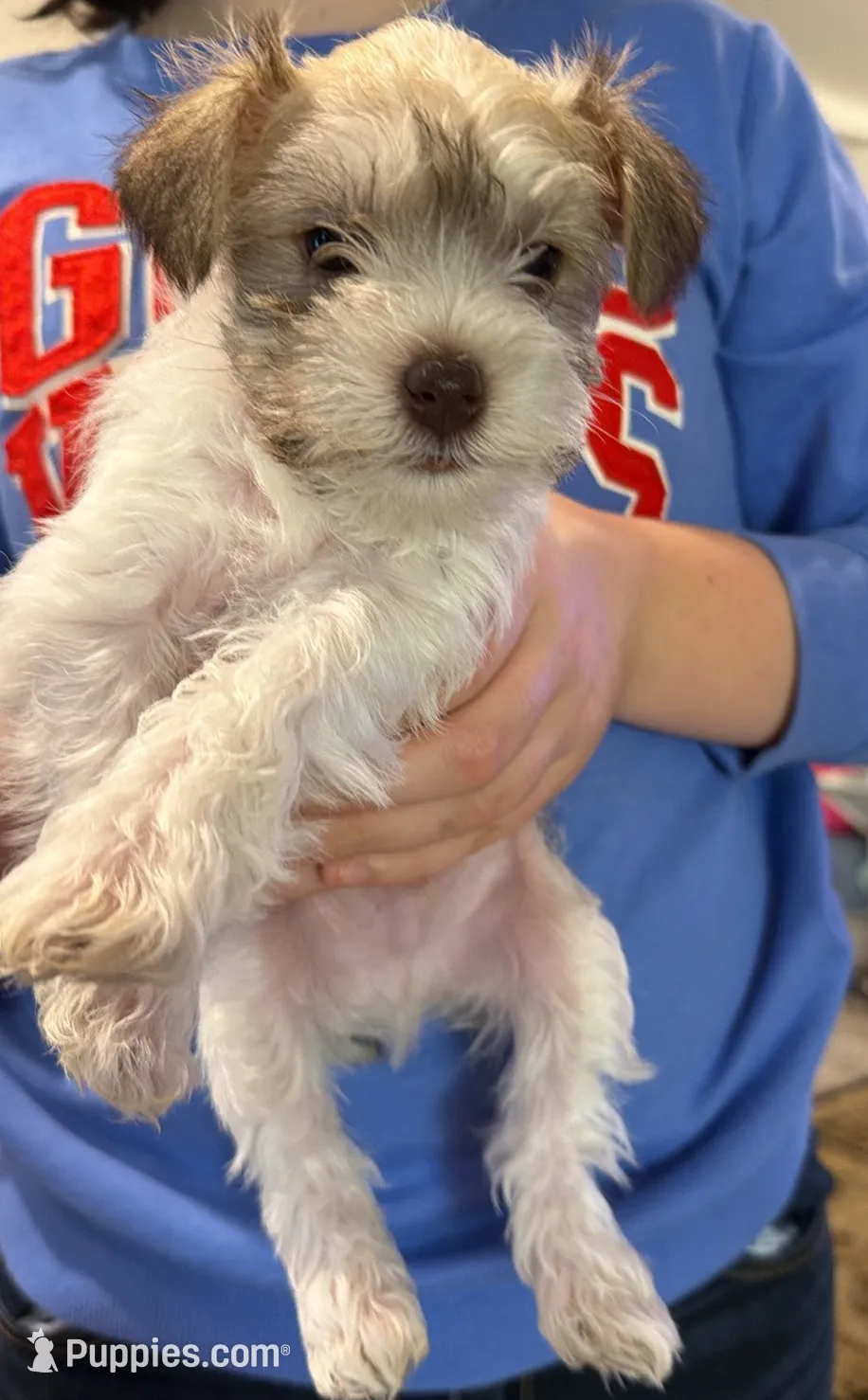 processed/8265dbe1-6664-43d9-a307-5a0339dd4d95/listing/3641b7bb-e858-426b-aeb4-44aba509c0a6/6870bb77-3ce3-4293-bbfb-3762c41f1dc2