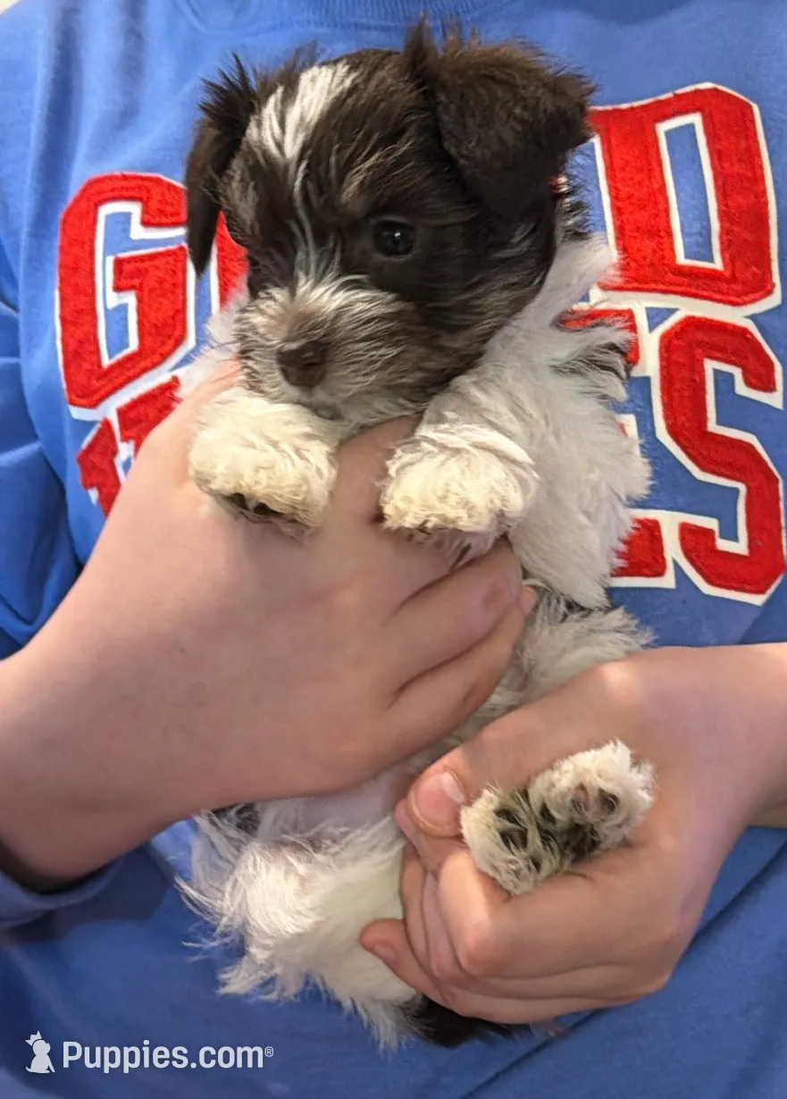 processed/8265dbe1-6664-43d9-a307-5a0339dd4d95/listing/4a3f3333-e3bf-4241-a947-ce425c265f35/1ede97bb-31fb-419b-a99a-4950f04424d0