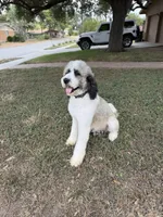 processed/8268447b-bff5-4373-b26e-732c5528568c/listing/da089ea2-b0bb-413b-9ca0-c808644a3581/9f3d06b4-0082-4e56-b6b9-0c9f7ea5c8ca