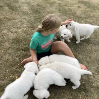 processed/826ec5e8-627d-456f-bfdd-699bcd0f4990/facility/6f545955-a4cd-4cc1-b72c-32d06a0845c3