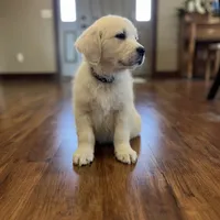 processed/826ec5e8-627d-456f-bfdd-699bcd0f4990/facility/6fa4f3ab-9382-4a30-9429-2c9713476b3a