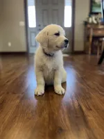 processed/826ec5e8-627d-456f-bfdd-699bcd0f4990/facility/6fa4f3ab-9382-4a30-9429-2c9713476b3a