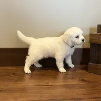 processed/826ec5e8-627d-456f-bfdd-699bcd0f4990/facility/7a2e01f8-c4f6-4441-a97c-1e7bece62962