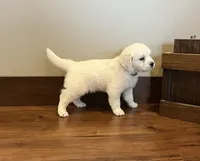 processed/826ec5e8-627d-456f-bfdd-699bcd0f4990/facility/7a2e01f8-c4f6-4441-a97c-1e7bece62962