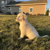 processed/826ec5e8-627d-456f-bfdd-699bcd0f4990/facility/ba5be047-f1ae-474e-b362-4d343506f1ed