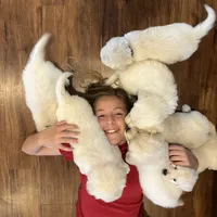 processed/826ec5e8-627d-456f-bfdd-699bcd0f4990/facility/c7186aa6-9d1c-4544-9361-29d3216d7bd0