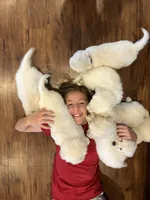 processed/826ec5e8-627d-456f-bfdd-699bcd0f4990/facility/c7186aa6-9d1c-4544-9361-29d3216d7bd0