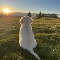 processed/826ec5e8-627d-456f-bfdd-699bcd0f4990/facility/eebfcd5f-c68e-4c1d-9780-b25132fadb72