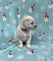 processed/826ec5e8-627d-456f-bfdd-699bcd0f4990/listing/15d72e0b-6676-4e62-aeda-c63589f6b3df/1f93457a-5f5f-414f-9da5-b246bb2d6580