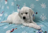 processed/826ec5e8-627d-456f-bfdd-699bcd0f4990/listing/15d72e0b-6676-4e62-aeda-c63589f6b3df/fd8809cf-e2c5-4f34-bf5f-fcf4651269b4