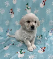 processed/826ec5e8-627d-456f-bfdd-699bcd0f4990/listing/18e2b49f-72ca-4127-9cd6-3078b2aaad80/598823b7-9e82-46ba-9ae0-0cb6132376d5