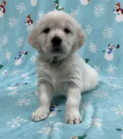 processed/826ec5e8-627d-456f-bfdd-699bcd0f4990/listing/18e2b49f-72ca-4127-9cd6-3078b2aaad80/5cddb227-8e3c-4671-b42a-75c17be1a5c6