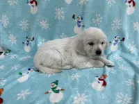 processed/826ec5e8-627d-456f-bfdd-699bcd0f4990/listing/18e2b49f-72ca-4127-9cd6-3078b2aaad80/a8e0125f-b7f8-4799-b13b-ac644a98df86