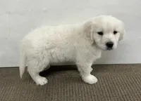 processed/826ec5e8-627d-456f-bfdd-699bcd0f4990/listing/3e0087f5-bdc4-4005-bcdd-c15e93e50ec4/0c2876fe-869c-4d8b-8b1a-8be062ac5aab