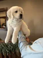 processed/826ec5e8-627d-456f-bfdd-699bcd0f4990/listing/3e0087f5-bdc4-4005-bcdd-c15e93e50ec4/3b78ad01-dc79-49a3-9e80-ffdc0ce9e0f1