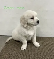 processed/826ec5e8-627d-456f-bfdd-699bcd0f4990/listing/3e0087f5-bdc4-4005-bcdd-c15e93e50ec4/f4712bc9-11da-4027-9606-49fcc78de982