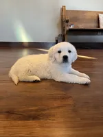 processed/826ec5e8-627d-456f-bfdd-699bcd0f4990/listing/3e0087f5-bdc4-4005-bcdd-c15e93e50ec4/f55c222d-67b4-4e12-86c2-fb0049adc846