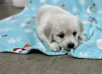 processed/826ec5e8-627d-456f-bfdd-699bcd0f4990/listing/4ad75276-94bd-4ebc-be7e-018989add608/30790eed-ac28-46a4-ac61-b743ed8c4af3