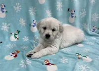 processed/826ec5e8-627d-456f-bfdd-699bcd0f4990/listing/4ad75276-94bd-4ebc-be7e-018989add608/841e5063-f1c3-4c5b-a34f-9b5587cd662c