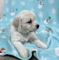 processed/826ec5e8-627d-456f-bfdd-699bcd0f4990/listing/4ad75276-94bd-4ebc-be7e-018989add608/874d0e1f-fe15-4f37-852a-ba0b04eda238