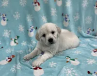 processed/826ec5e8-627d-456f-bfdd-699bcd0f4990/listing/4ad75276-94bd-4ebc-be7e-018989add608/ba1f5b8a-b740-45fb-bdf9-3ccf6ae53504