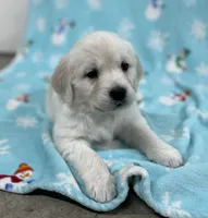 processed/826ec5e8-627d-456f-bfdd-699bcd0f4990/listing/4ad75276-94bd-4ebc-be7e-018989add608/e8b26bf2-9ea8-4f7f-8559-37c3a2eb3cb9