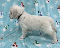 processed/826ec5e8-627d-456f-bfdd-699bcd0f4990/listing/7fa666ca-f967-4063-87d9-88f382138afc/52c7e444-6dc3-41f5-947d-aade4af4e7ef