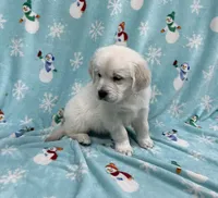 processed/826ec5e8-627d-456f-bfdd-699bcd0f4990/listing/7fa666ca-f967-4063-87d9-88f382138afc/dd5691aa-d9f4-4e7e-9f4b-ec077b309d60