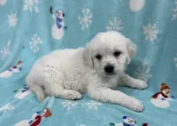 processed/826ec5e8-627d-456f-bfdd-699bcd0f4990/listing/d3105ceb-26a1-44cc-ba7f-9a209126d922/0a89b3f3-c260-4472-8586-f8835fc10132