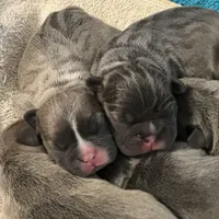 processed/826fb664-7aea-4854-9a54-15c86b855f6a/facility/4d0f2847-b4aa-4650-bf09-976cf12925da