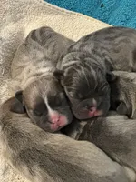 processed/826fb664-7aea-4854-9a54-15c86b855f6a/facility/4d0f2847-b4aa-4650-bf09-976cf12925da