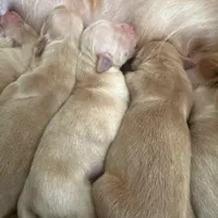 processed/826fb664-7aea-4854-9a54-15c86b855f6a/facility/4d4e02c1-b924-492c-aa55-21dd7c400c76