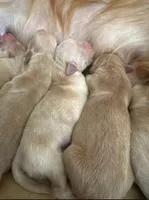 processed/826fb664-7aea-4854-9a54-15c86b855f6a/facility/4d4e02c1-b924-492c-aa55-21dd7c400c76