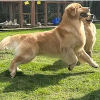 processed/826fb664-7aea-4854-9a54-15c86b855f6a/facility/631d9e15-7925-4965-a1aa-a22c1b80d7c2