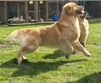 processed/826fb664-7aea-4854-9a54-15c86b855f6a/facility/631d9e15-7925-4965-a1aa-a22c1b80d7c2