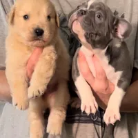 processed/826fb664-7aea-4854-9a54-15c86b855f6a/facility/70a1c227-6577-4ef0-aa1c-b8ff59776b61