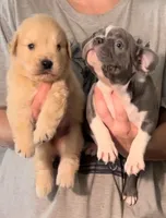 processed/826fb664-7aea-4854-9a54-15c86b855f6a/facility/70a1c227-6577-4ef0-aa1c-b8ff59776b61