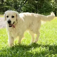 processed/826fb664-7aea-4854-9a54-15c86b855f6a/facility/901b5f06-65e3-4a7d-b4de-4684cb9c9407