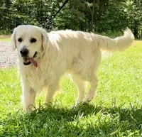 processed/826fb664-7aea-4854-9a54-15c86b855f6a/facility/901b5f06-65e3-4a7d-b4de-4684cb9c9407